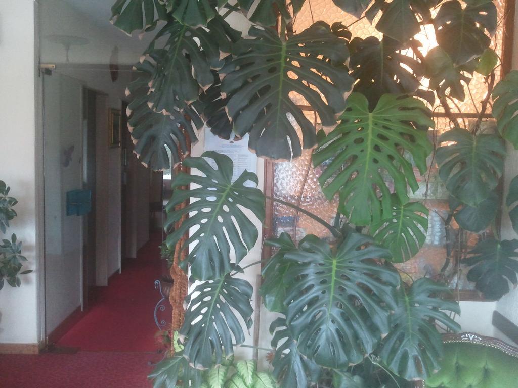 Hotel Lux Merano Bagian luar foto